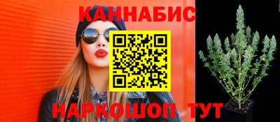 спайс Нягань