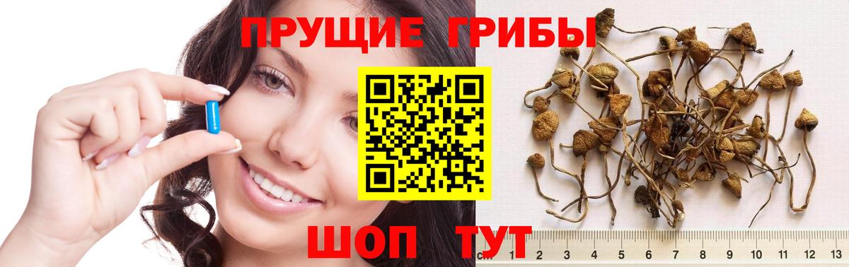 Галлюциногенные грибы мухоморы Барабинск